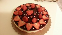 /album/galerie-photos/fraisier-7-jpg/